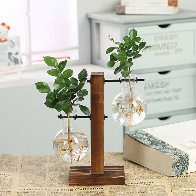 VerdantVistas - Terrarium Hydroponische Pflanzenvase