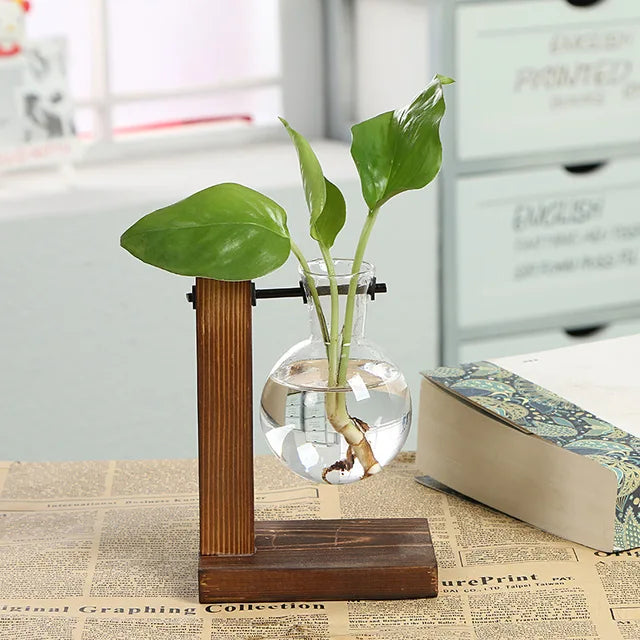 VerdantVistas - Terrarium Hydroponische Pflanzenvase
