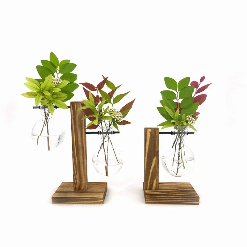 VerdantVistas - Terrarium Hydroponische Pflanzenvase