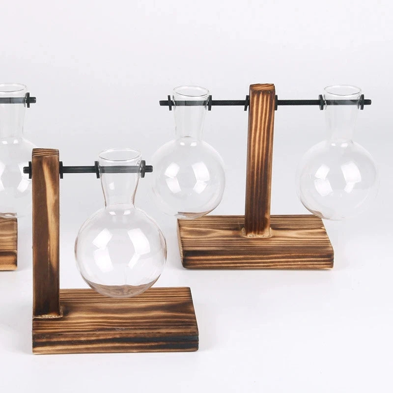 VerdantVistas - Terrarium Hydroponische Pflanzenvase