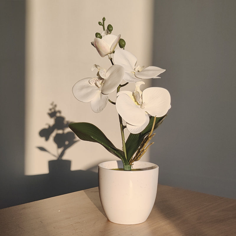 ZenBloom | Künstliche Bonsai-Orchidee