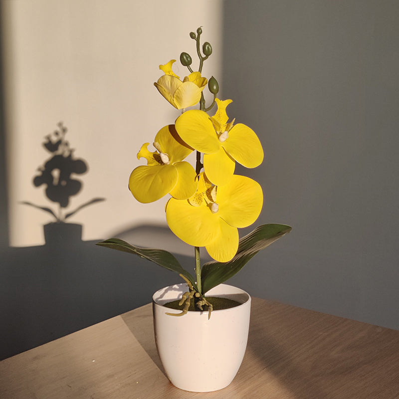 ZenBloom | Künstliche Bonsai-Orchidee