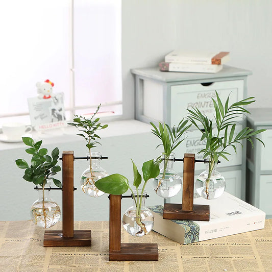 VerdantVistas - Terrarium Hydroponische Pflanzenvase
